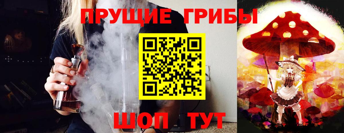 купить   Псилоцибиновые грибы ЛСД  Вход с VPN  Новоалександровск 